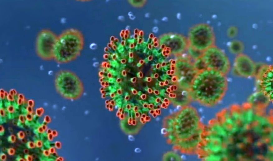 Сможет «выключать» иммунную систему: назвали самый опасный сценарий пандемии