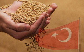 Туреччині дадуть привілей у закупівлі зерна в України та РФ, — ЗМІ