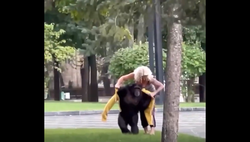 У Харкові шимпанзе, який втік на «прогулянку», повернули додому, відео