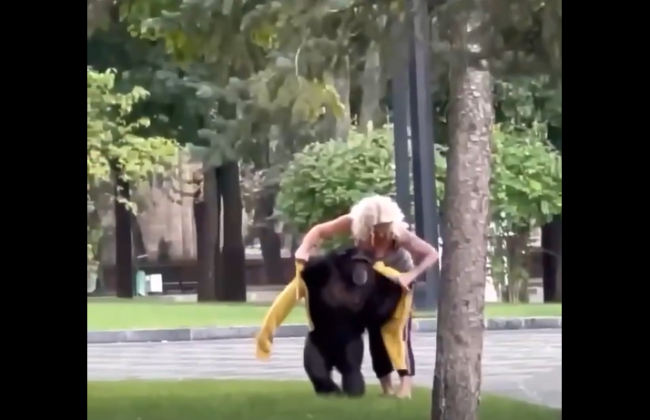 У Харкові шимпанзе, який втік на «прогулянку», повернули додому, відео