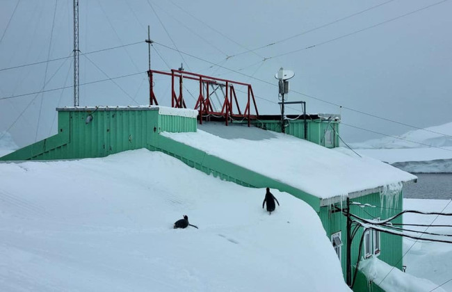Українську станцію «Академік Вернадський» замело: пінгвіни ходять по даху, фото