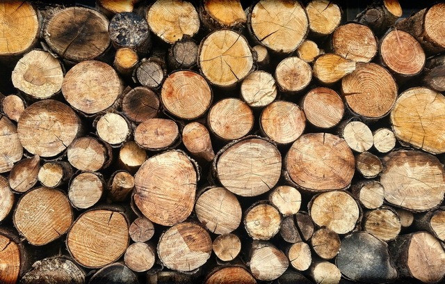 Які дрова не рекомендується купувати для опалення: список порід деревини