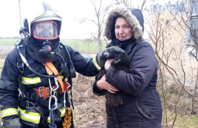 Впав у 35-метровий колодязь: на Рівненщині врятували кота, фото