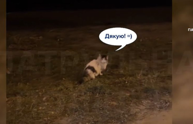 В Киеве полицейские провели «операцию» по спасению котика, видео