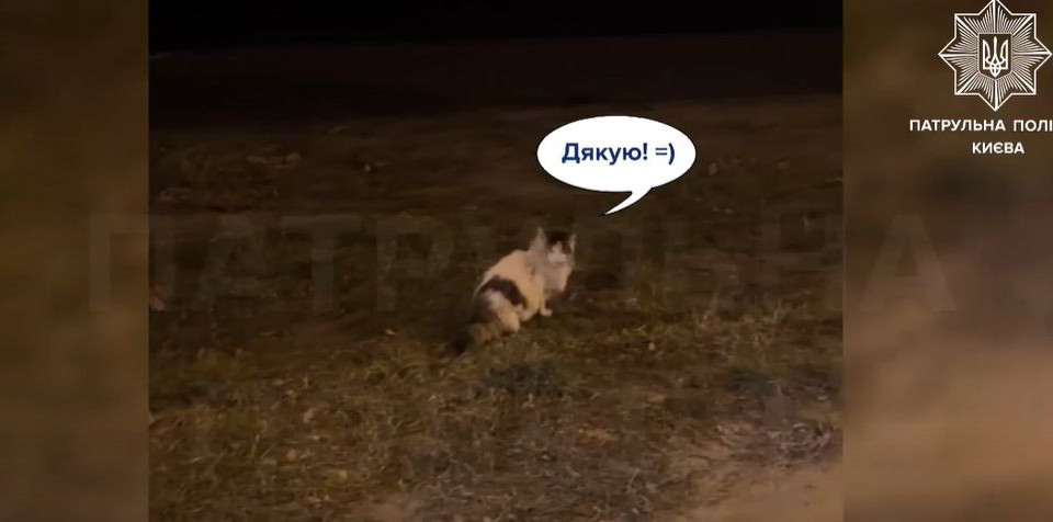 В Киеве полицейские провели «операцию» по спасению котика, видео