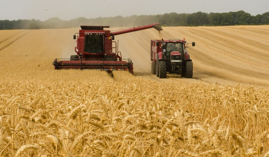 Через блокування податкової накладної підприємство-постачальник пшениці було вимушене платити штрафні санкції: що вирішила Велика Палата Верховного Суду