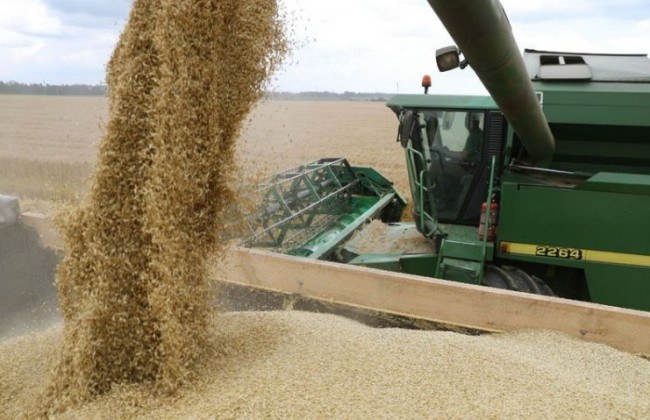 Из-за блокирования налоговой накладной предприятие-поставщик пшеницы было вынуждено платить штрафные санкции: что решила Большая Палата Верховного Суда