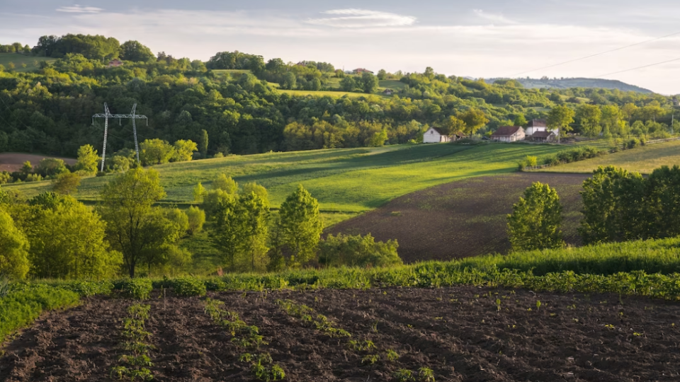 Землі фермерських господарств: актуальна судова практика у сфері земельних відносин