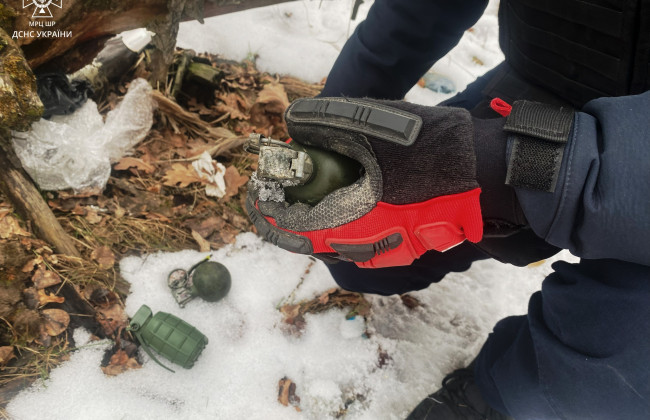 На Київщині у лісі знайшли три ручні гранати, фото