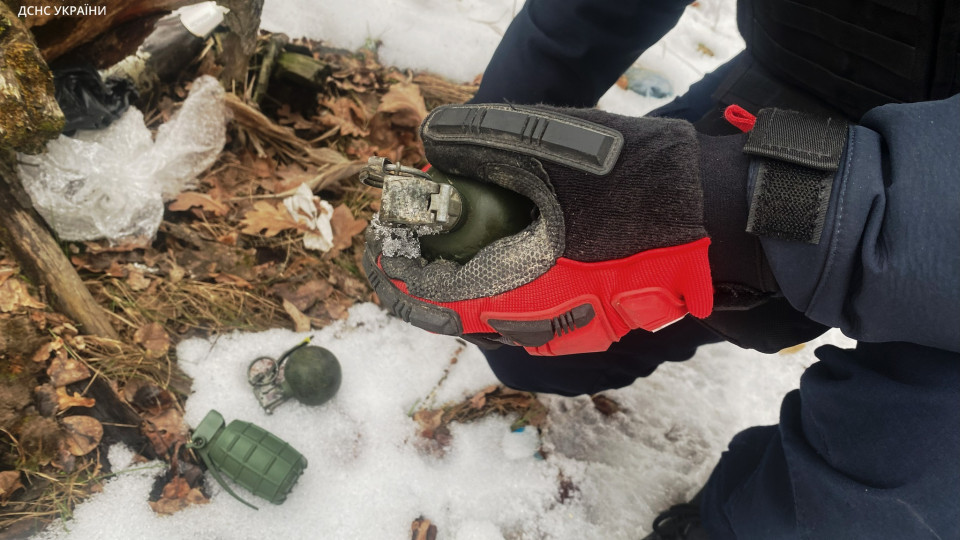 На Київщині у лісі знайшли три ручні гранати, фото