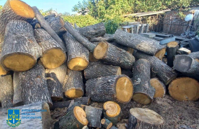 На Кіровоградщині «чорні лісоруби» знищили дерев на 1,7 млн грн, фото