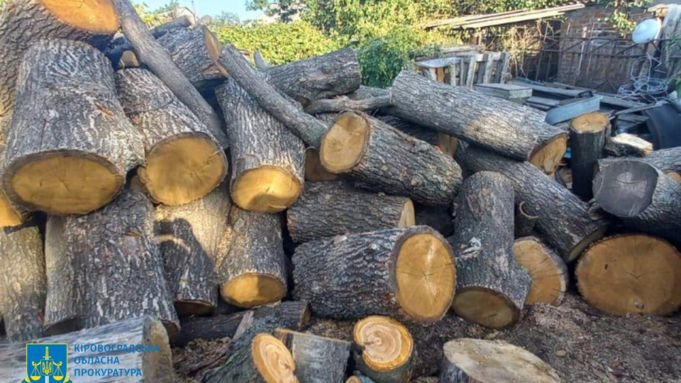 В Кировоградской области «черные лесорубы» уничтожили деревьев на 1,7 млн грн, фото