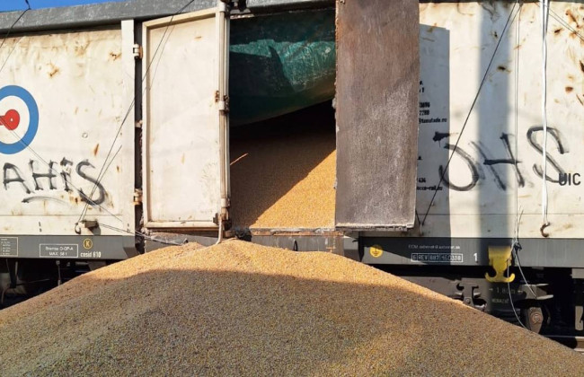 В Польше неизвестные высыпали украинское зерно из 8 вагонов: фото