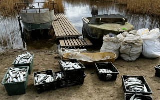 В Одеській області браконьєри виловили рибу майже на 3 млн гривень