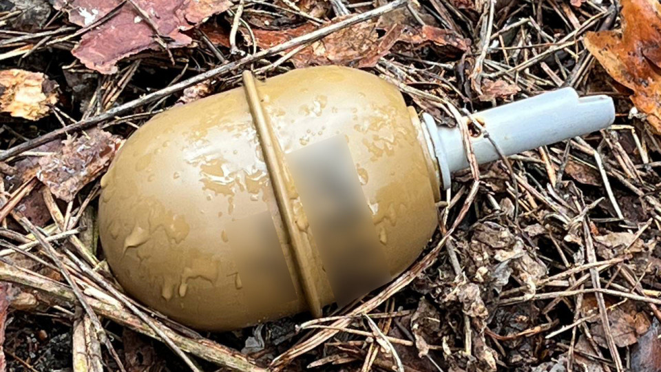 В Киеве мужчина сообщил о найденной гранате во время прогулки