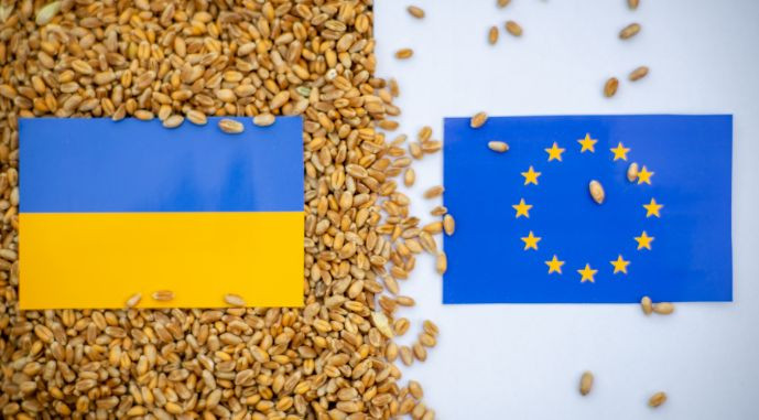 Польсько-французьке обмеження українського імпорту загрожує продовженням війни, – заявили в Кабміні