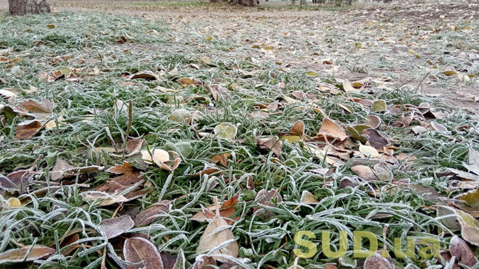 В Украину возвращаются заморозки: когда ждать похолодания