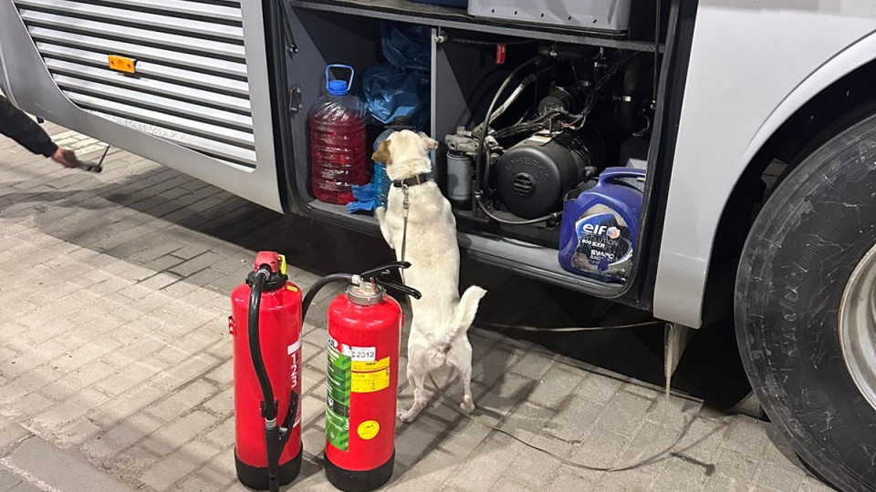 В автобусе, который направлялся в Прагу, служебная собака вынюхала сигареты в огнетушителях: видео