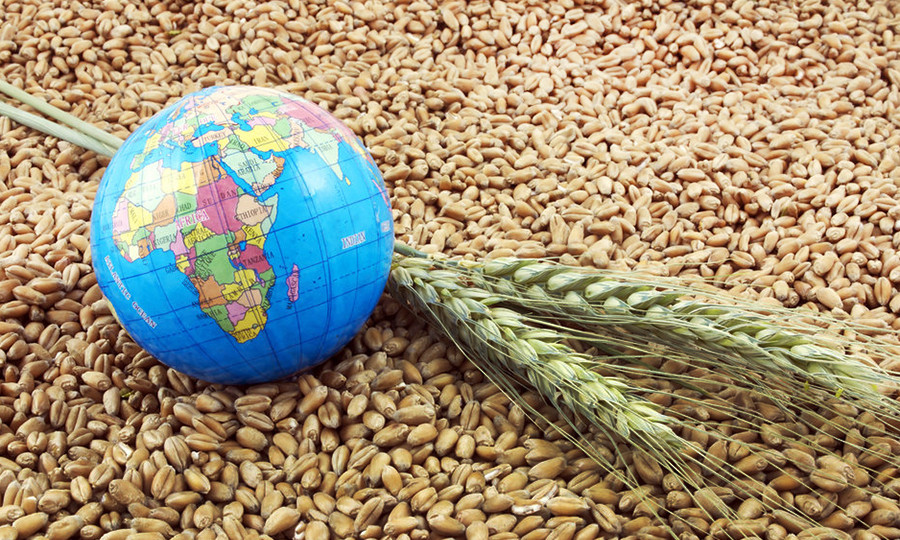 Харківський бізнесмен намагався незаконно експортувати за кордон пшеницю на 9,2 млн гривень