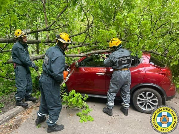 У Києві негода на вихідних пошкодила або повалила 107 дерев