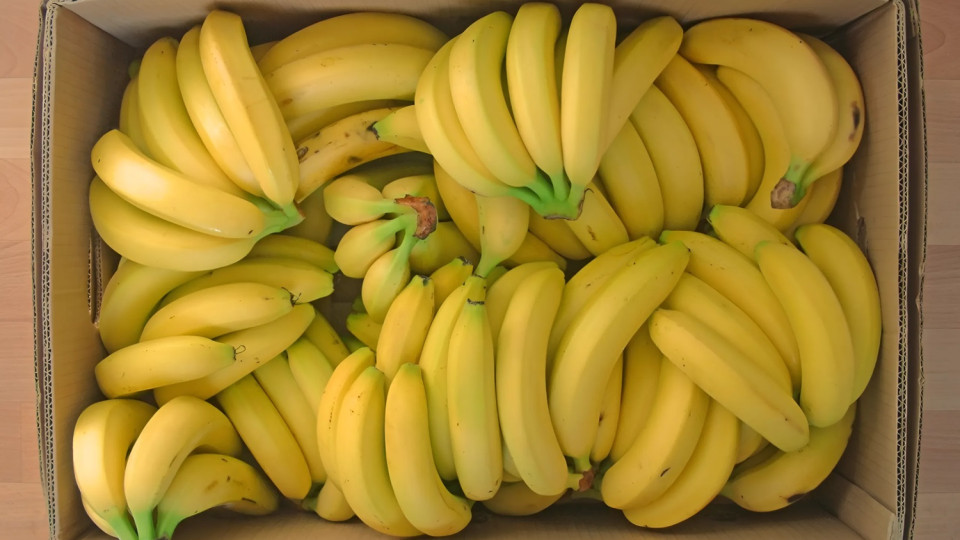 У німецьких супермаркетах виявили банани з кокаїном