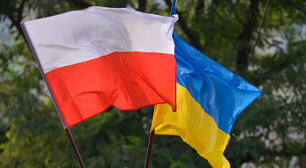 Каждый десятый бизнес в Польше в прошлом году открыли украинцы