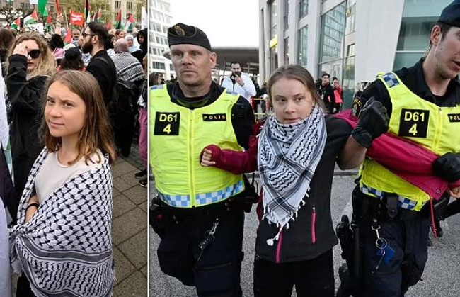 В Швеции полиция задержала экоактивистку Грету Тунберг: появилось видео