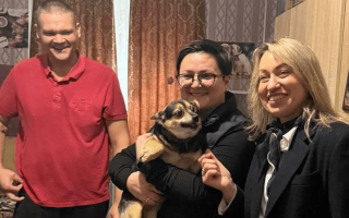 Уряд готує єдині правила перебування тварин у місцях тимчасового проживання ВПО