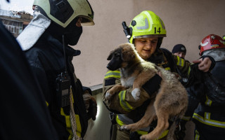У центрі Києва сталася пожежа в багатоповерхівці: причиною міг стати вибух зарядної станції, фото