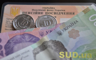 Пенсіонерам пояснили, як пройти ідентифікацію через закордонні дипломатичні установи