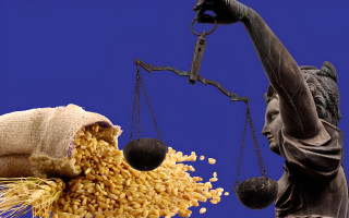 Юридические документы как инструмент преступления: суд оставил в силе приговор за завладение имуществом в особо крупных размерах