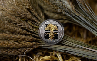 НБУ презентував до Різдва нову монету номіналом 10 гривень – як виглядає, фото