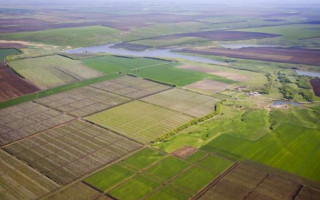 Іноземцям можуть заборонити купувати українську землю під час війни та 15 років після неї