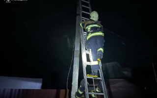 На Київщині провели спецоперацію з порятунку кота: фото