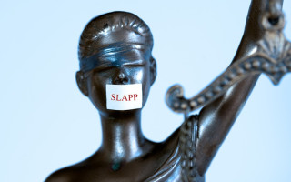 Депутаты готовят закон для защиты активистов от судебного давления, а судам — новые статистические показатели