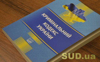 Норму об «украинофобии» могут не поддержать из-за риска дублирования действующих положений Уголовного кодекса