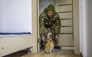 Жилье военных запретят отчуждать до конца войны и полгода после: новые обязанности нотариусов и исполнителей