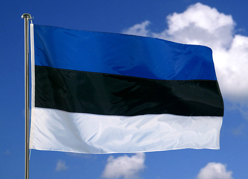 Двух граждан Эстонии осудили за сотрудничество со спецслужбами РФ